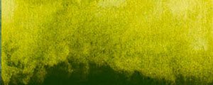 Akvarelová barva Renesans 15ml – 48 Zeleň zlatá
