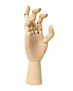 Dřevěný model ruky – pravá