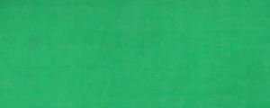 Barva na hedvábí Renesans 50ml – Zeleň tmavá 151
