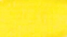 Akrylová barva Phoenix 75ml – 209 Žlutá primární