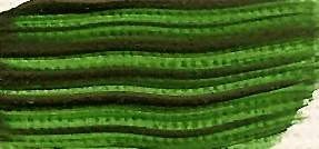 Renesans Akryl 200ml – 18 Zeleň listová