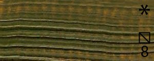 Olejová barva Renesans 60ml – 71 Zeleň listová