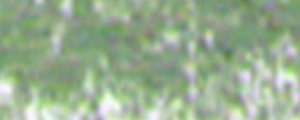 Suchý pastel Renesans – 81 Zeleň jawa