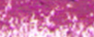 Suchý pastel Renesans – 43 Violeť bordeaux