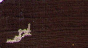 Restaurátorská barva Renesans 20ml – 26 Asphaltum