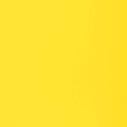 Akrylová barva Basics 22ml – 981 fluorescent yellow