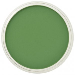 PanPastel 9ml – 660.5 Chromium Oxide Green
