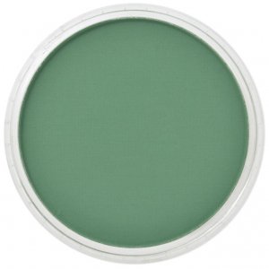 PanPastel 9ml – 640.3 Permanent Green Shade