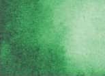 Akvarelová barva DS 5ml – 042 Hooker's Green