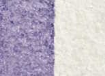 Akvarelová barva DS 15ml – 4005 Interference Lilac
