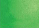 Akvarelová barva DS 15ml – 208 Spring Green
