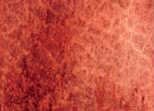 Akvarelová barva DS 15ml – 151 Burgundy Red Ochre