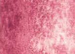 Akvarelová barva DS 15ml – 148 Potter's Pink