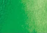 Akvarelová barva DS 15ml – 067 Permanent Green Light