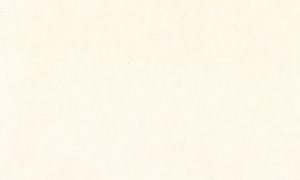 Šelaková tuš Sennelier 30ml – 001 Opaque White