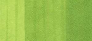 Copic classic marker – YG25 Celadon Green