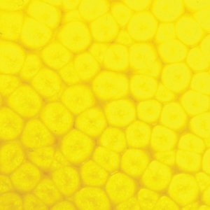 Barva Pébéo Fantasy Prisme 45ml – 60 Fluorescent yellow