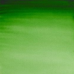 Akvarelová barva W&N 5ml – 311 Hookers Green