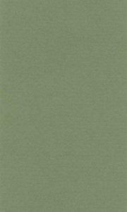 Barevný papír Lana 70x100cm – 13 sap green
