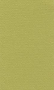 Barevný papír Lana 50x65cm - 37 pistachio