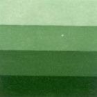 Grafická barva Charbonnel 200ml – sap green