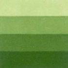 Grafická barva Charbonnel 200ml – medium green