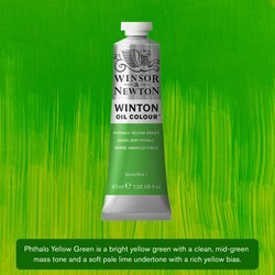 Olejová barva Winton 37ml – 403 phthalo yellow green
