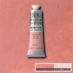Olejová barva Winton 37ml – 257 pale rose