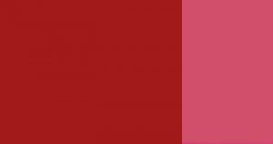 Kvašová barva Schmincke 20ml – 682 English red