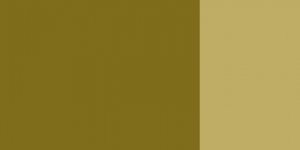 Kvašová barva Schmincke 20ml – 675 umber greenish