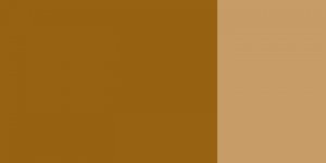 Kvašová barva Schmincke 20ml – 674 raw umber
