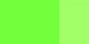 Kvašová barva Schmincke 20ml – 566 permanent green light
