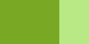 Kvašová barva Schmincke 20ml – 562 olive green