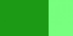 Kvašová barva Schmincke 20ml – 561 fir green