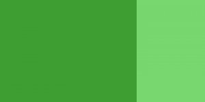 Kvašová barva Schmincke 20ml – 558 chromium oxide green