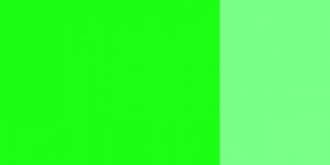 Kvašová barva Schmincke 20ml – 557 leaf green