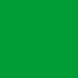 Akrylový marker Liquitex 2mm – Light green permanent 312