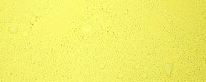 Pigment Renesans 50g – žluť citronová PY3