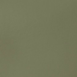 Akrylová barva Basics 118ml – 205 green gray