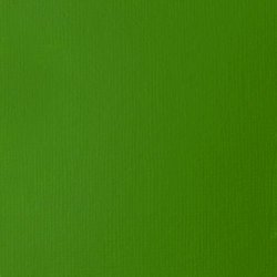 Akrylová barva Basics 118ml – 312 light green permanent
