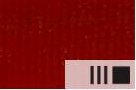 Olejová barva Renesans Blur 200ml – 32 Okr červený tmavý