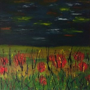 Evening in the field - poppies