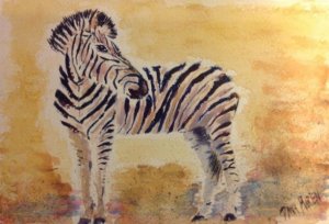 Zebra- akvarel