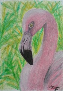 Flamingo pastell