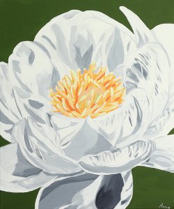 Flor de peónia