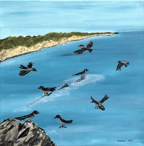 Sivá vrana Sardínia