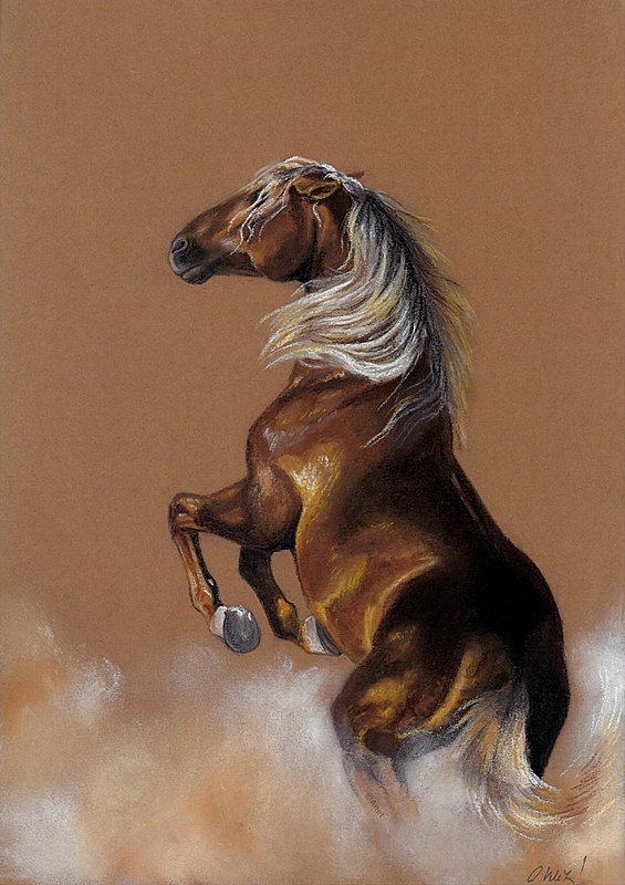 "Divoký kôň"