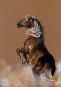 ,,Wild horse"