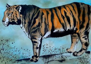 Tigre indiana