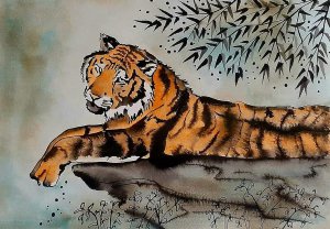 Ussuri tigris